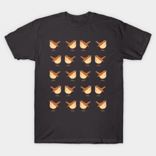 Hermit Thrush (Spice) T-Shirt